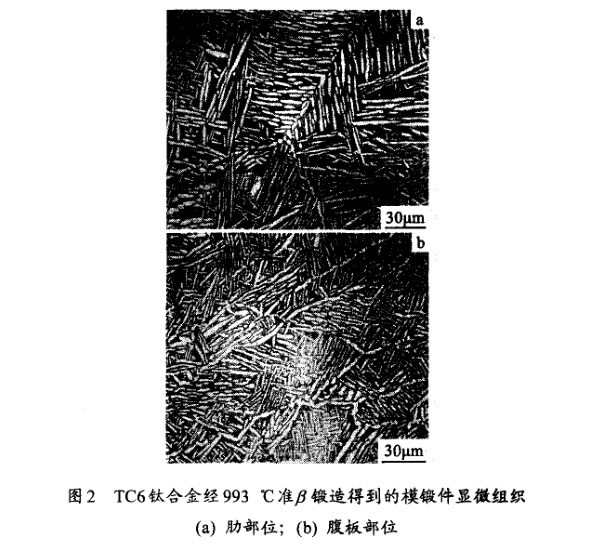 TC6鈦合金經(jīng)993℃準(zhǔn)β鍛造得到的模鍛件顯微組織(a) 肋部位；(b) 腹板部位