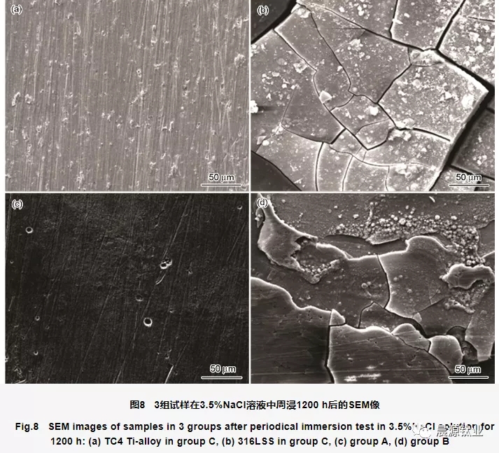 周浸腐蝕實驗后不同組試樣表面形貌的SEM像