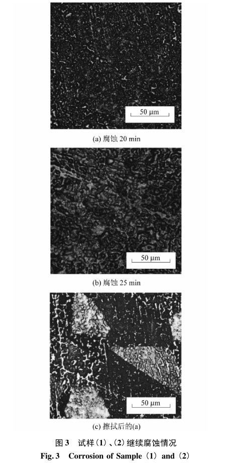 試樣(1)、(2)繼續(xù)腐蝕情況
