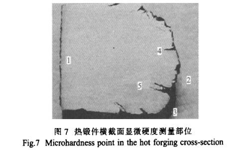 熱鍛件橫截面顯微硬度測(cè)量部位