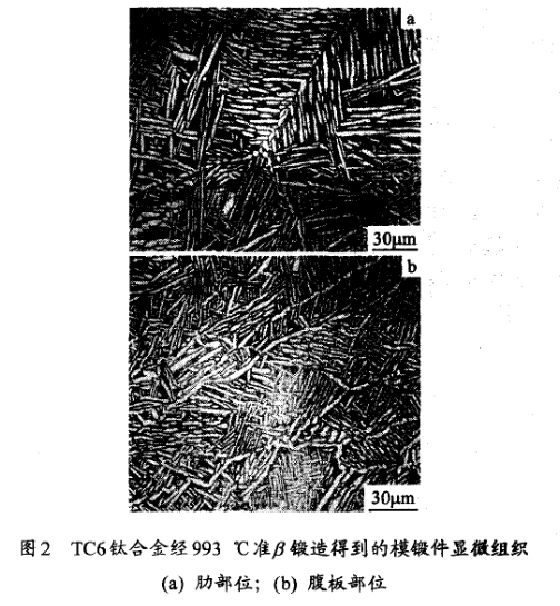 TC6鈦合金經(jīng)993 ℃準(zhǔn)鍛造得到的模鍛件顯微組織(a) 肋部位；(b) 腹板部位