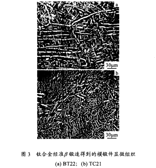 鈦合金經(jīng)β鍛造造得到模鍛件顯微組織