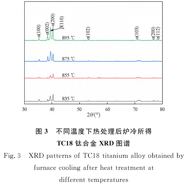 截圖20241109210616.png